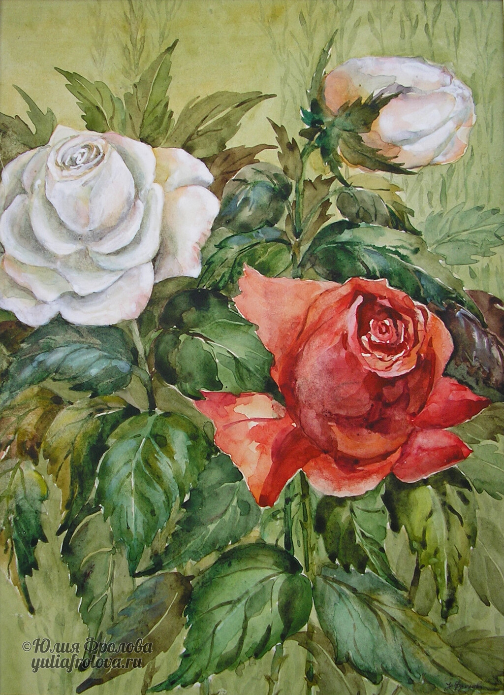 Garden roses. (No 132)