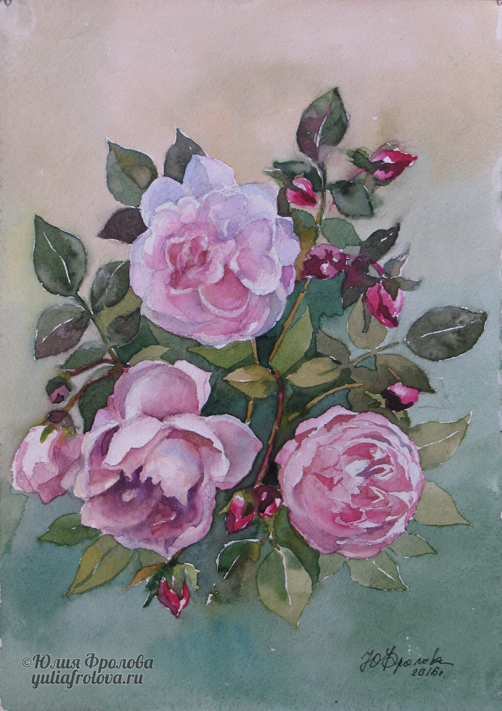 Roses. (No 154)