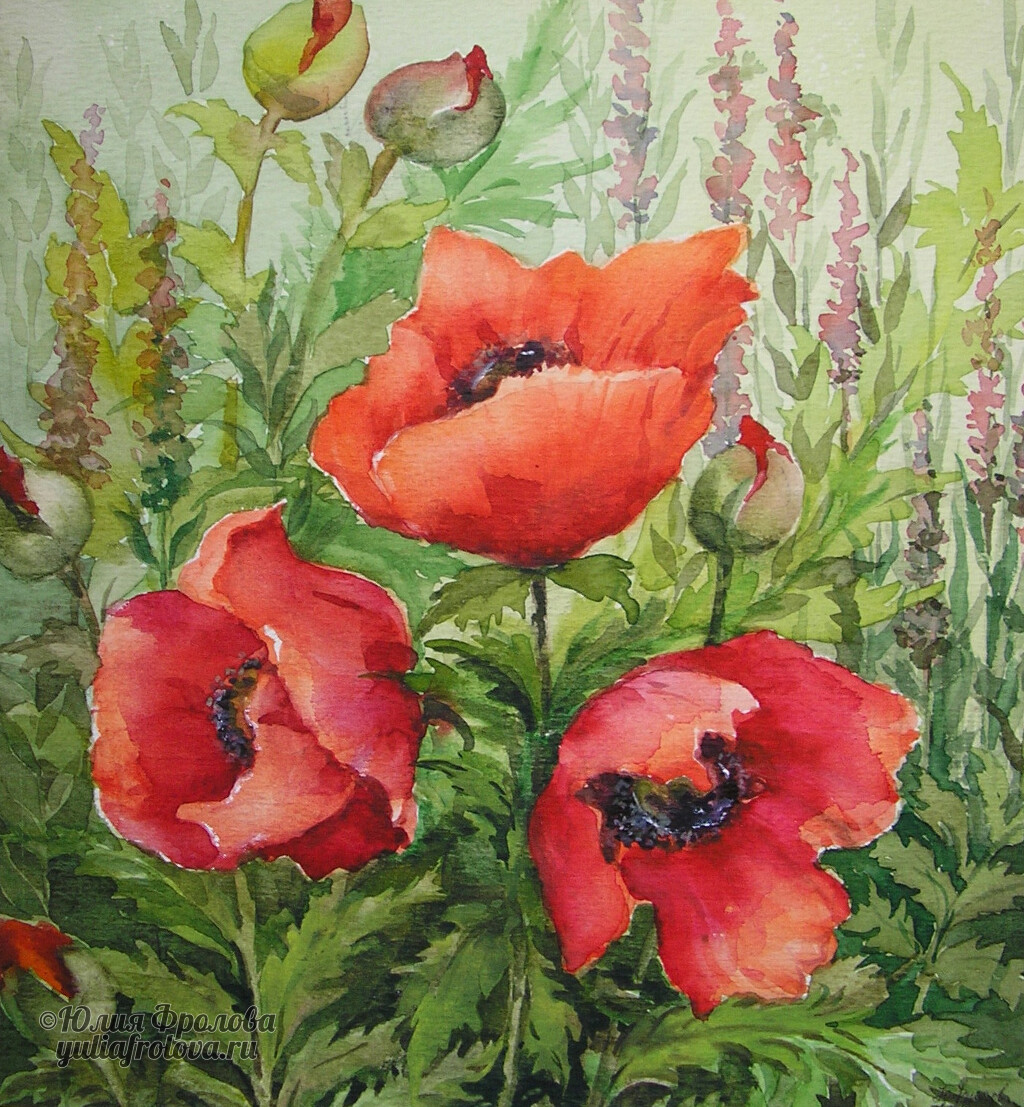 Poppies. (No 178)