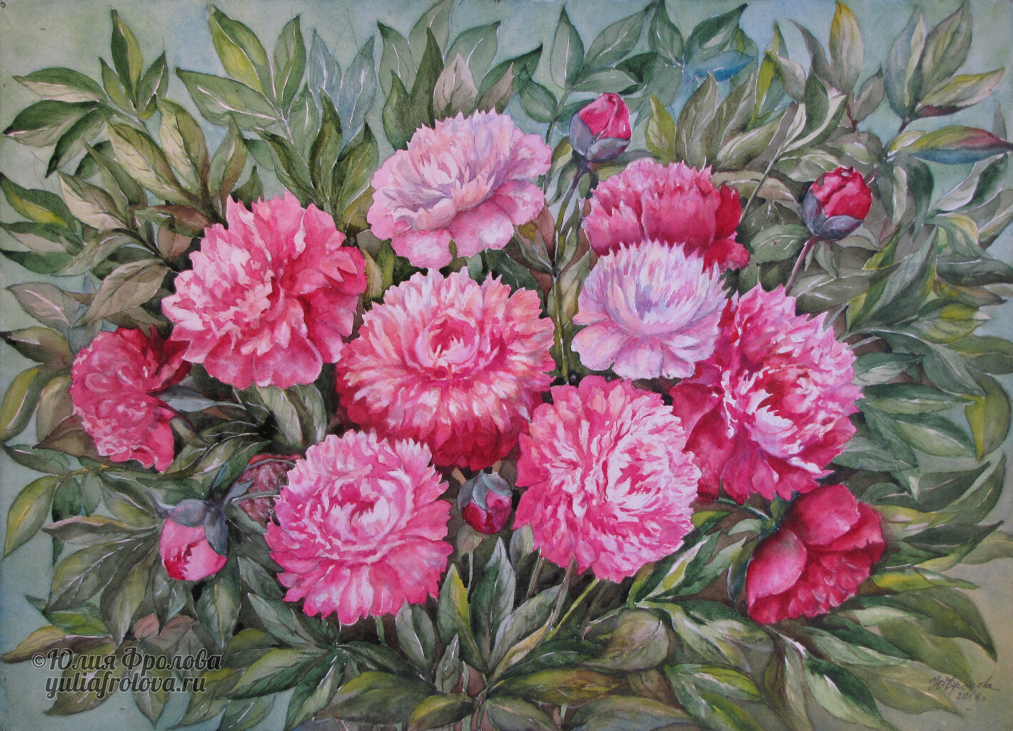 Peonies. (No 296)