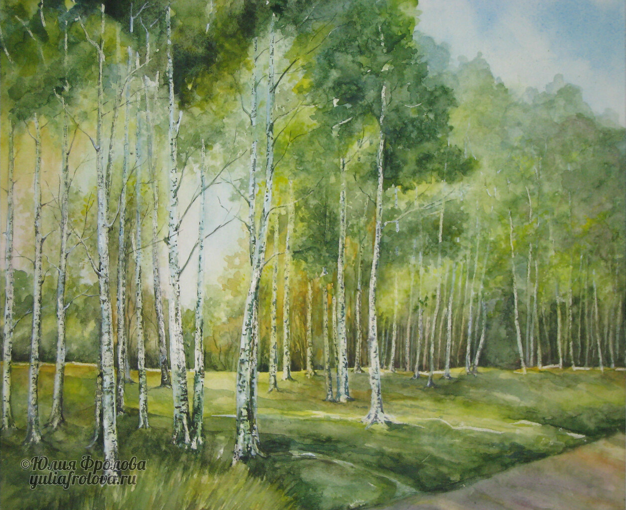 Birch trees. (No 302)