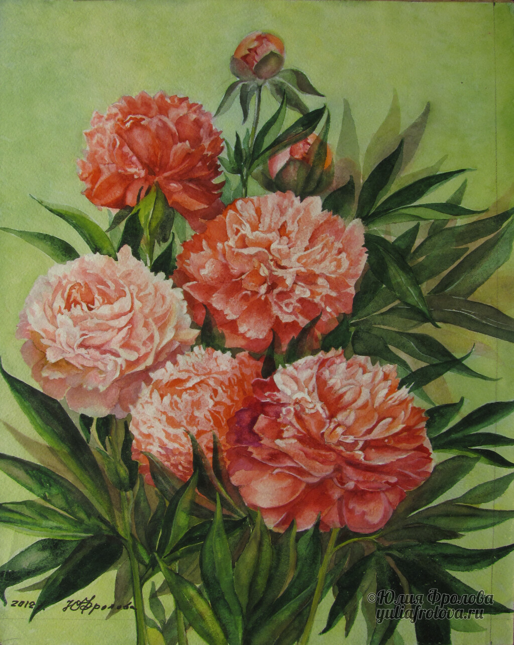 Peonies. (No 454)