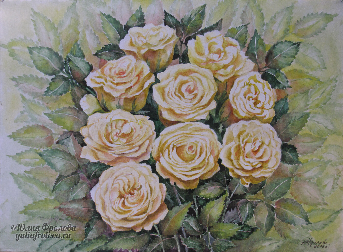 Garden roses. (No 502)