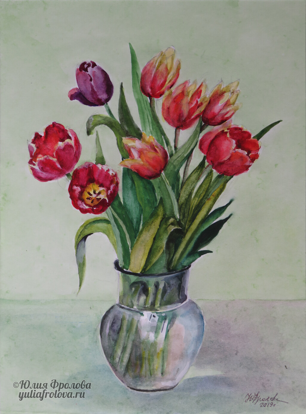 Tulips. (No 712)