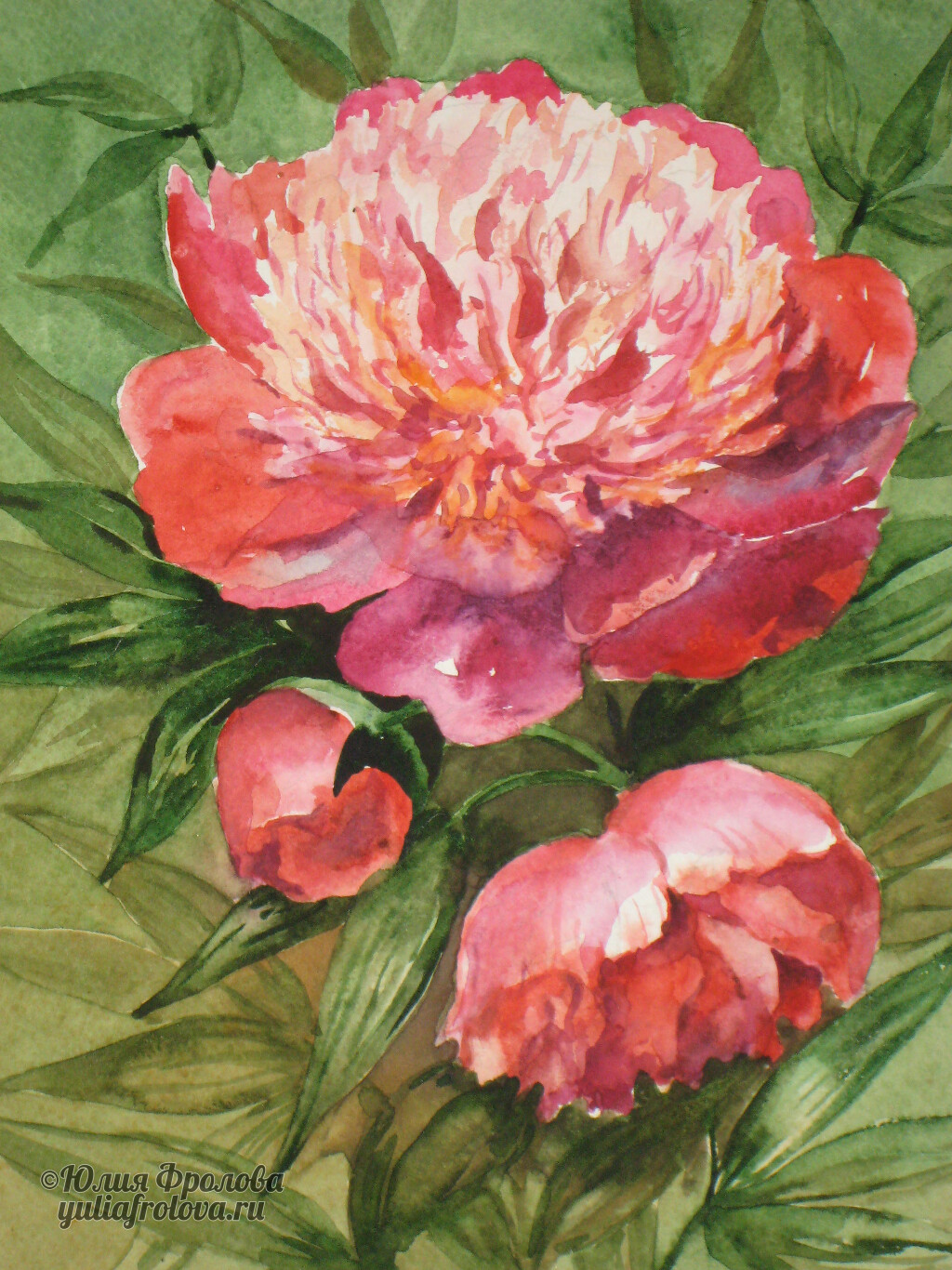 Peonies. (No 933)