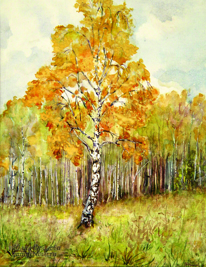 Birch trees. Autumn. (No 996)