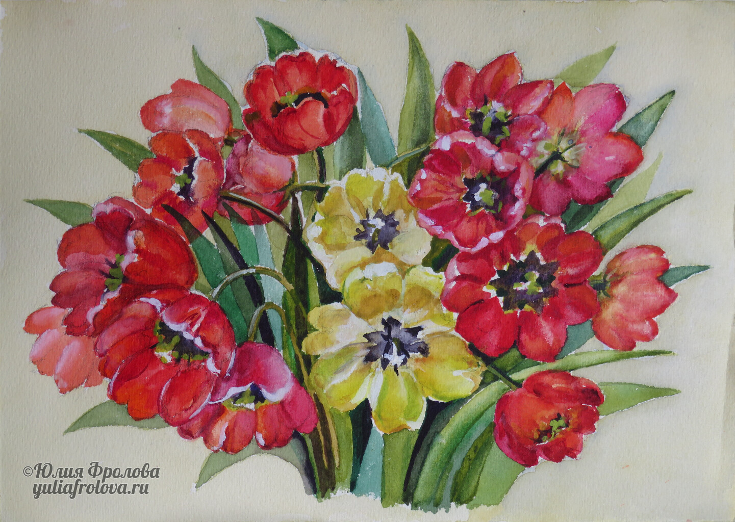 Tulips. (No 1165)