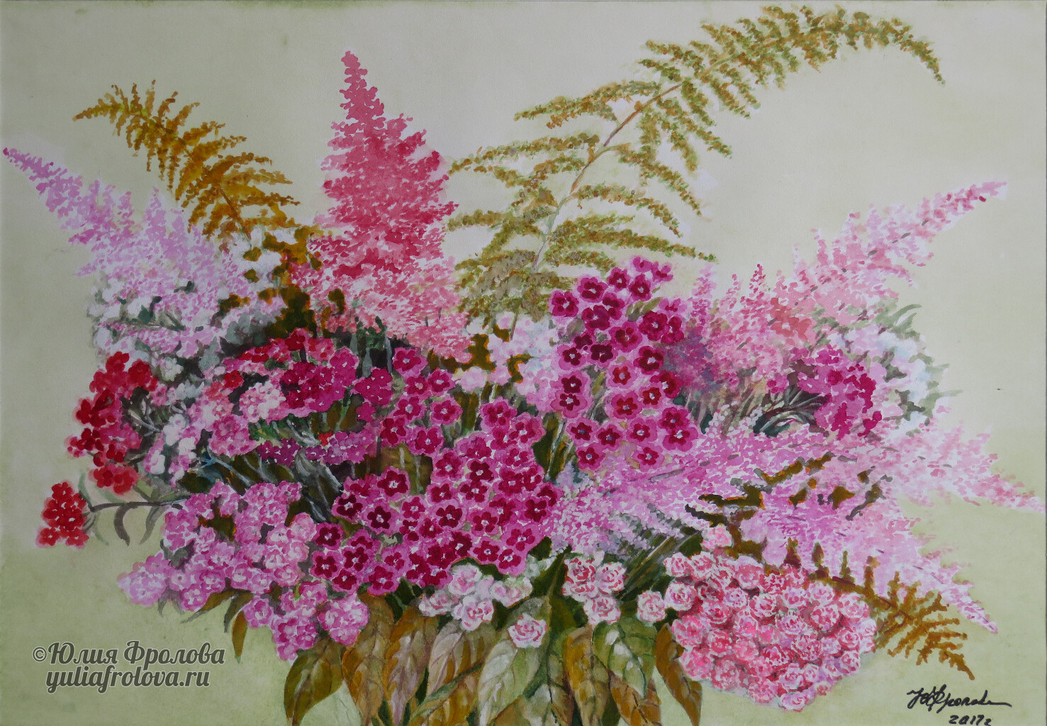 Astilbe, Fern and Dianthus barbatus. (No 1385)