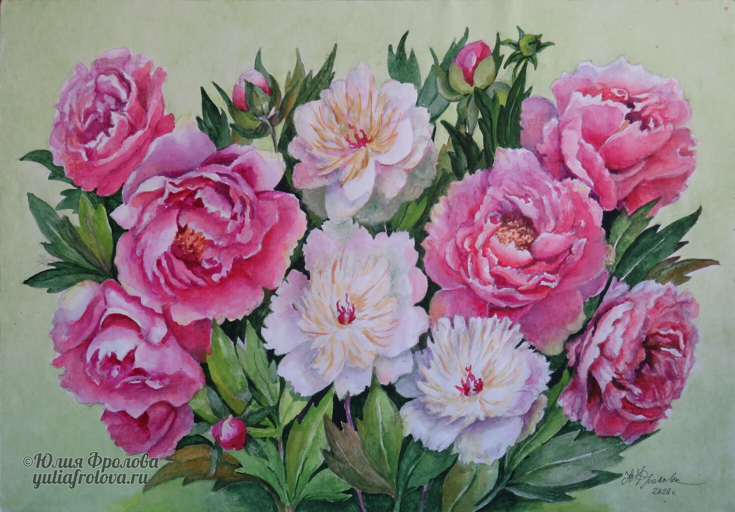 Peonies. (No 1394)