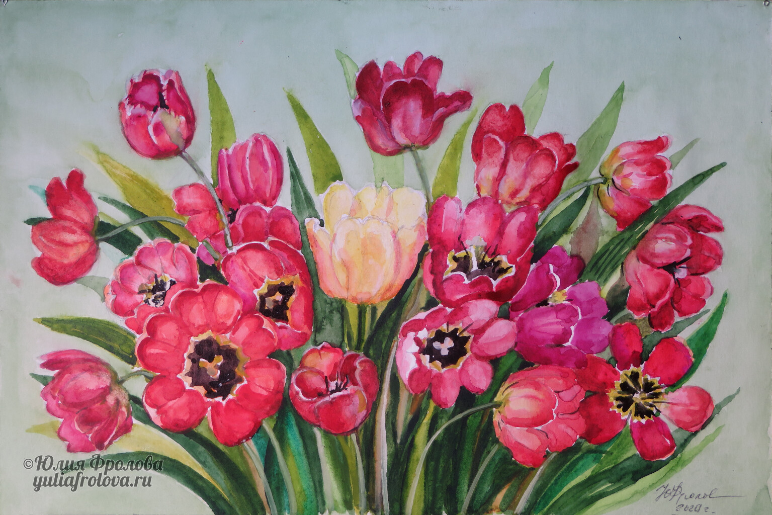 Tulips. (No 1521)