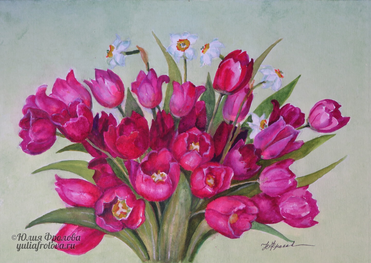 Tulips and narcissuses. (No 1526)