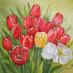 Tulips. (No 30)