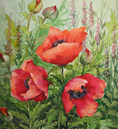 Poppies. (No 178)