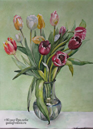 Tulips. (No 256)