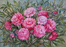 Peonies. (No 296)