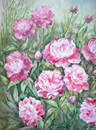 Peonies. (No 328)