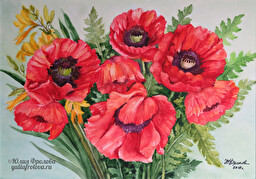 Poppies. (No 356)