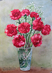 Dianthus. (No 435)