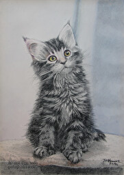 Kitten. (No 586)