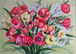 Tulips. (No 608)