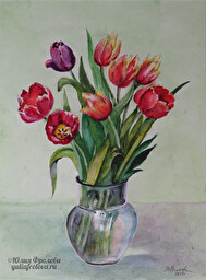 Tulips. (No 712)