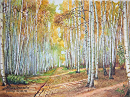 Birch grove. Autumn. (No 1074)