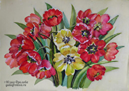 Tulips. (No 1165)