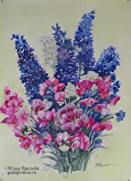 Sweet peas and delphinum. (No 1295)