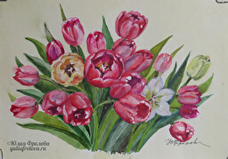 Tulips. (No 1302)