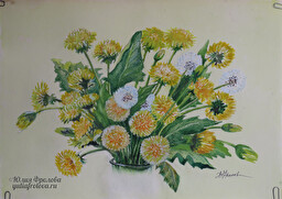 Taraxacum. (No 1308)