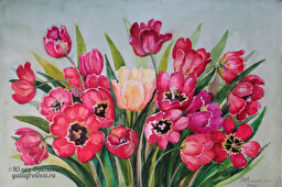 Tulips. (No 1521)